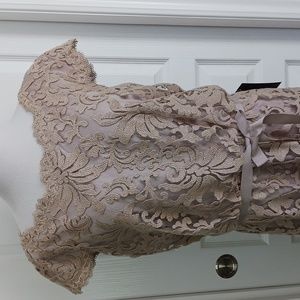 NEW -Tadashi Shoji Beige Embroidered Lace Cocktail Dress Size 16
